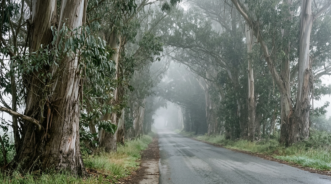 Salt Air on
the Pacific Coast