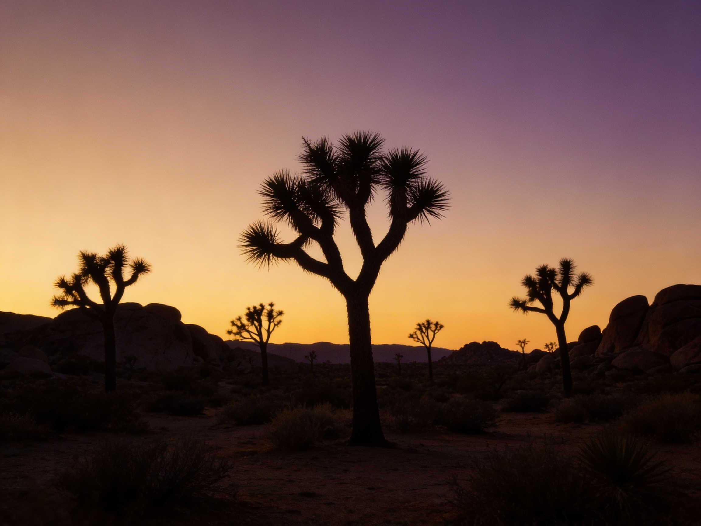 The Desert After Last Light